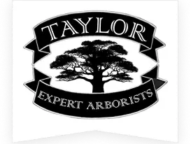 Taylor Expert Arborists Logo